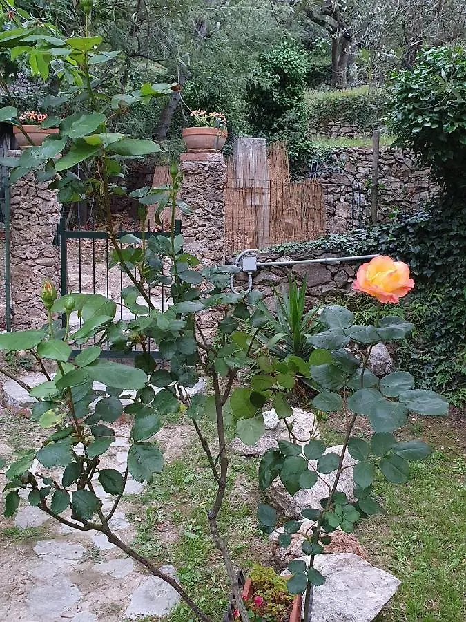 L'Uliveto D'Argento Bed & Breakfast Finale Ligure
