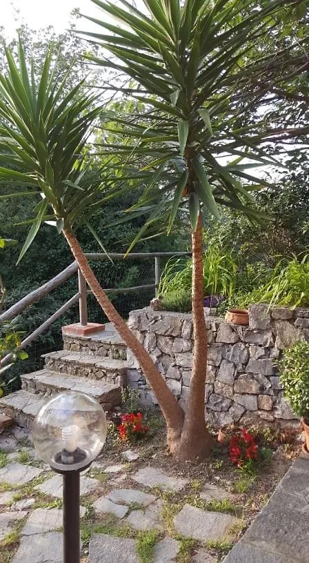 L'Uliveto D'Argento Bed & Breakfast Finale Ligure