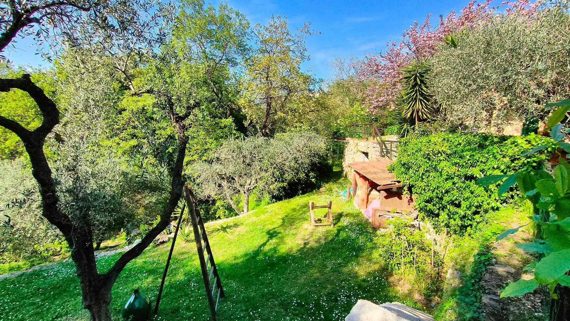 L'Uliveto D'Argento Bed & Breakfast Finale Ligure