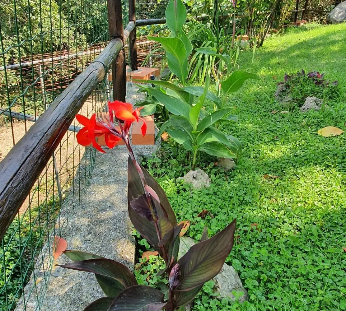 L'Uliveto D'Argento Bed & Breakfast Finale Ligure
