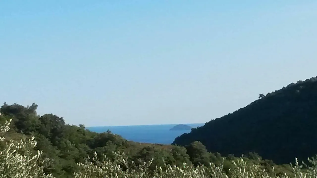L'Uliveto D'Argento Bed & Breakfast Finale Ligure